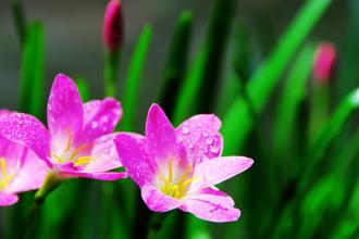 芳芳的趣味世界：只要你勇敢往前跑，就一定能看到阳光