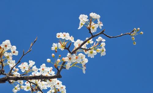 芳芳的趣味世界：只要你勇敢往前跑，就一定能看到阳光