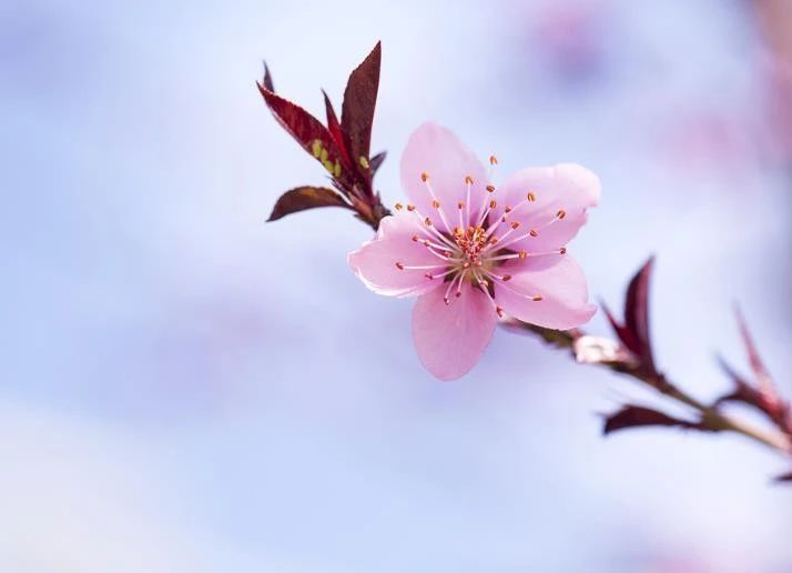【天天励志正能量】人生不易有时候，必须做自己的英雄