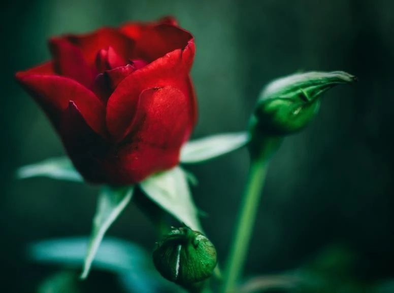 【天天励志正能量】人生不易有时候，必须做自己的英雄