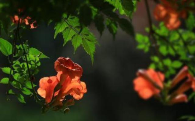 「小冉姐姐的夏天」这3个生肖女，温柔善良乐于助人，其中有你吗？