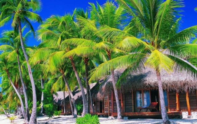 「小冉姐姐的夏天」这3个生肖女，温柔善良乐于助人，其中有你吗？