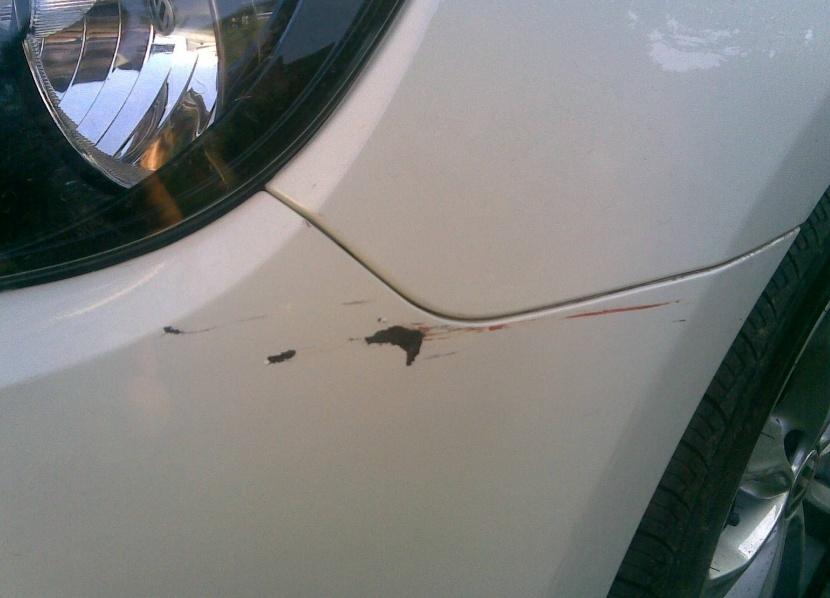 谈车甲乙丙：挡风玻璃被砸，保险公司却不理赔？老司机：只因你多说一个字