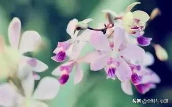 「浅浅情感说」人生路，自己走； 闲人话，随便说