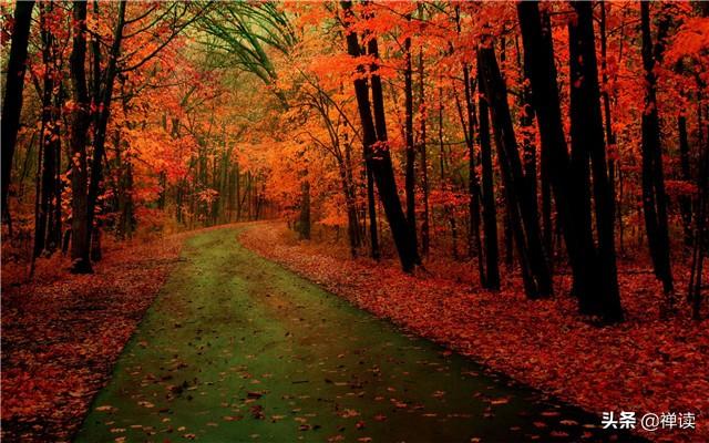 【励志焦点】把握现在，畅享人生