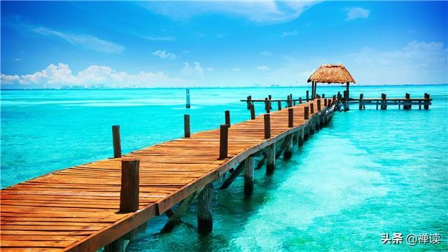 [励志的晓莉]沐浴春风不自傲，挑战逆境不伤情