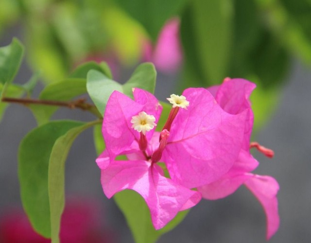 [情感祺福]“直男癌”的三大生肖男，不理解妻子，从来不主动认错