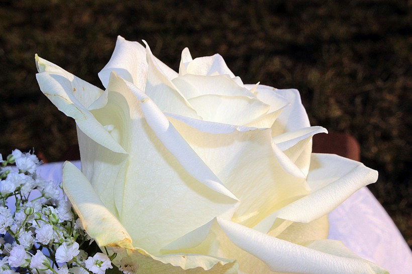 [情感祺福]“直男癌”的三大生肖男，不理解妻子，从来不主动认错