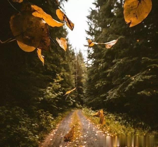 【贵州应用技术职业学院】现在的我为自己而活！