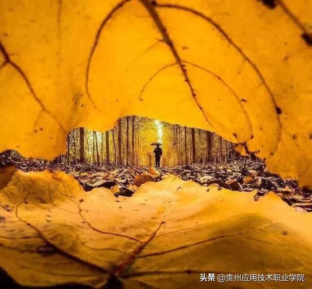 【贵州应用技术职业学院】现在的我为自己而活！