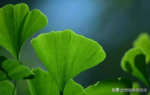 佳作有约：家庭和睦，再穷都能发家！