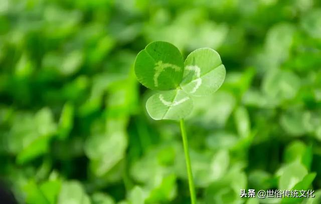 佳作有约：家庭和睦，再穷都能发家！