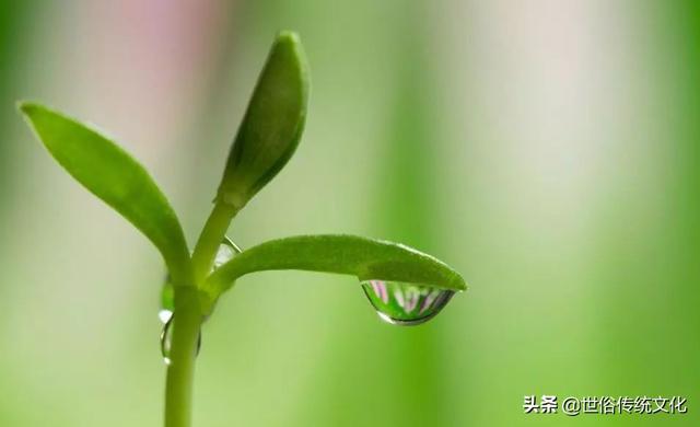 佳作有约：家庭和睦，再穷都能发家！