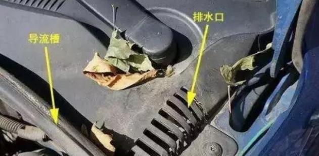 #奇趣汽车#汽车保养要注意细节，这三个排水孔忘了，下大雨车或将报废