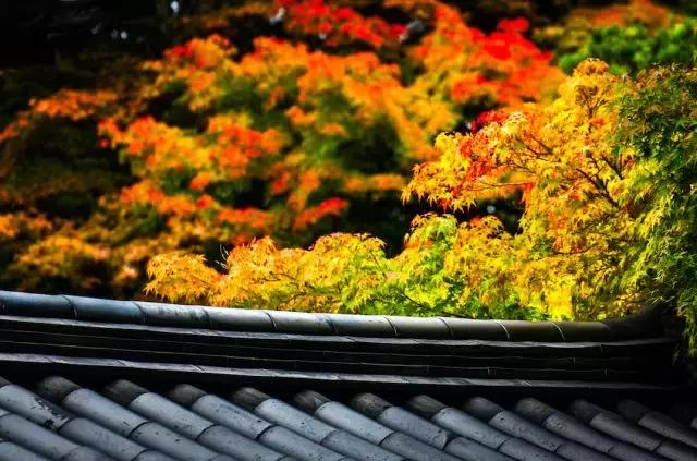 武金丰：你会遇见谁，早就命中注定了！