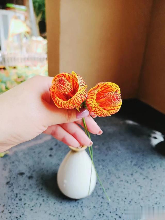 「街角&祝福」原来状态变好的秘诀是从开始整理的那一刻起