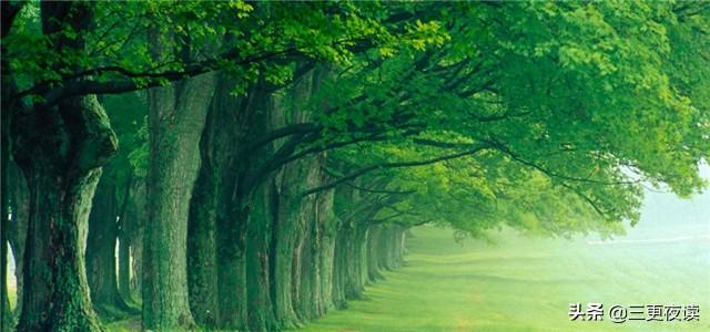 「老蒋书房」一撇一捺写个人，一生一世学做人