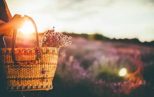 凌小麦@往后余生，一切随缘，顺其自然