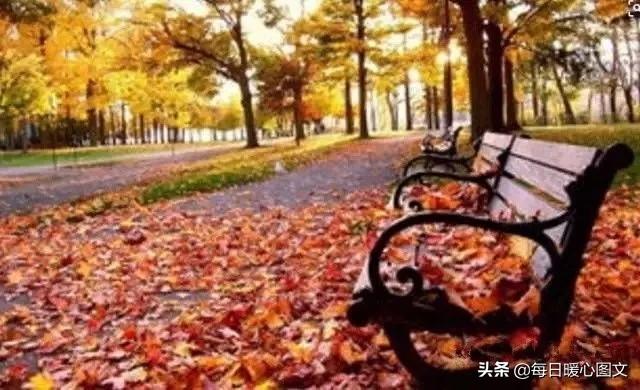 励志照亮人生666：做人，不靠一张嘴，靠一颗真心