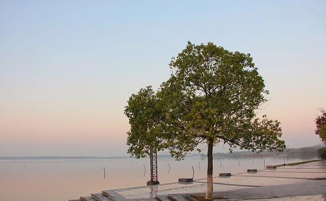 「金魁星TB」活着就是胜利，健康才是目的