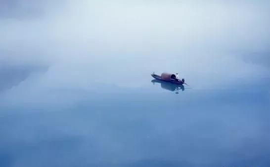 「金魁星TB」活着就是胜利，健康才是目的