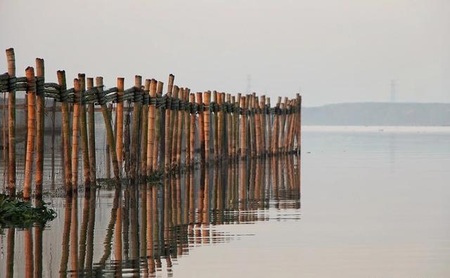 「金魁星TB」活着就是胜利，健康才是目的