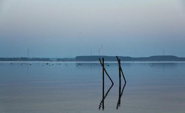 「金魁星TB」活着就是胜利，健康才是目的