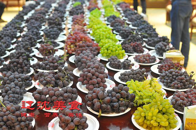 原创 2019年辽宁迎来葡萄大丰收，哪个葡萄品种最好吃