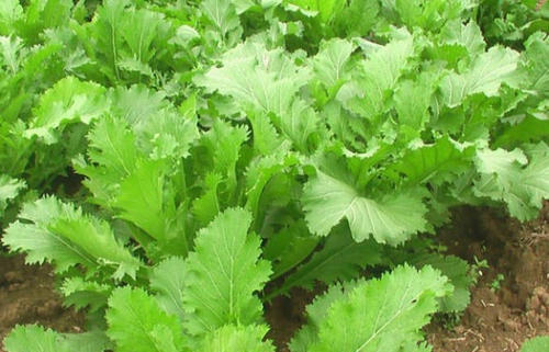 「强强联手在乐趣」人拼的从来都不是运气和聪明，而是毅力