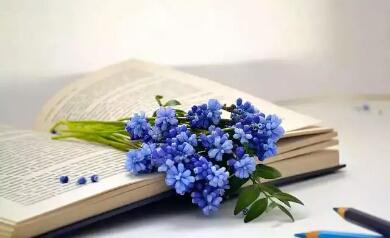 【傲雪凌寒缘尽今生】男人老不老，看他这3个地方，就一目了然，别不信！