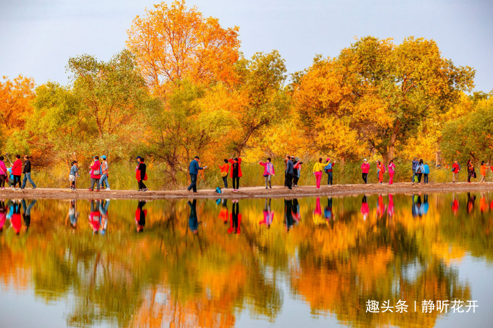 「静听花开」感悟生命：向所有美好的旧日时光道歉。
