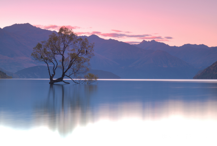 「静听花开」感悟生命：向所有美好的旧日时光道歉。