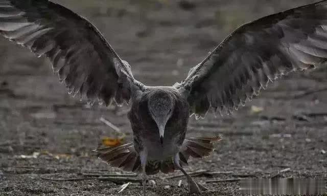 [幸福许昌人A]不要瞧不起任何人