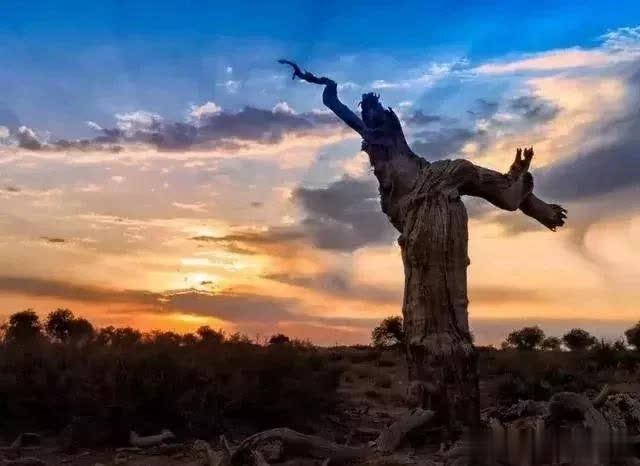 [幸福许昌人A]不要瞧不起任何人