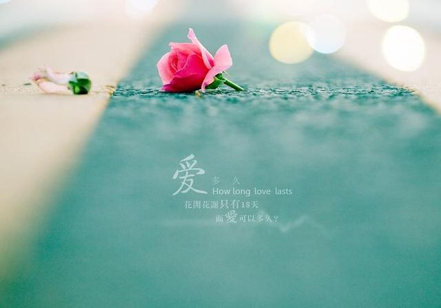 「星系倪」陪伴不是恋爱的模式，相处才是恋爱的最佳模式