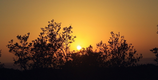 临颍快报■”话有三不说，忙有三不帮“，10个字，蕴藏着处世大智慧