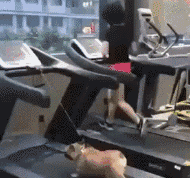 【枫桥i过客】运气永远比努力更重要，这幸亏是接着了，要不然就惨了