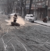 【枫桥i过客】运气永远比努力更重要，这幸亏是接着了，要不然就惨了