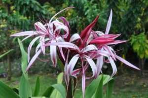 【华云头条】好好珍惜纯洁的心灵