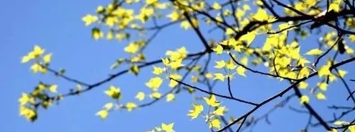 「浅浅情感说」一位老同学在聚会上的演讲,全场700人笑翻了!