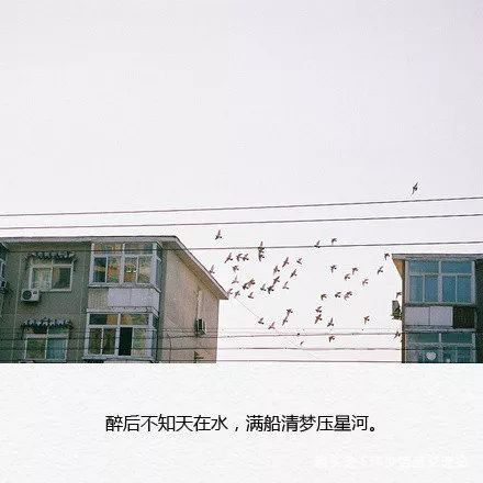 [玮少情感交流站]世上的原谅和宽容 都是以折磨自己为代价的