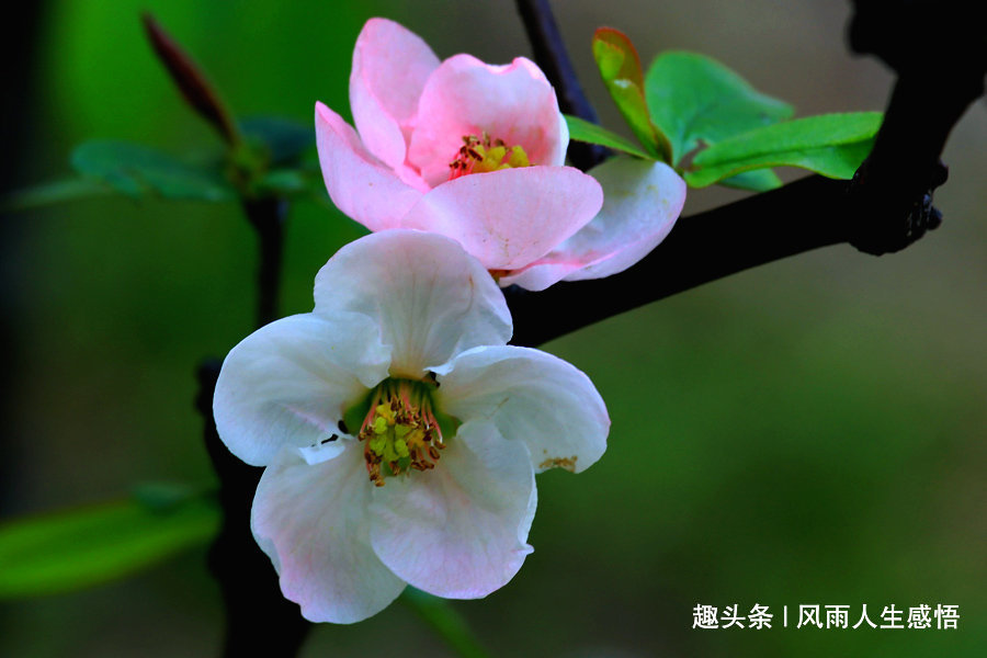 [风雨人生感悟]地球没有了你，照样转不停；但你不努力，面临的是随时被代替