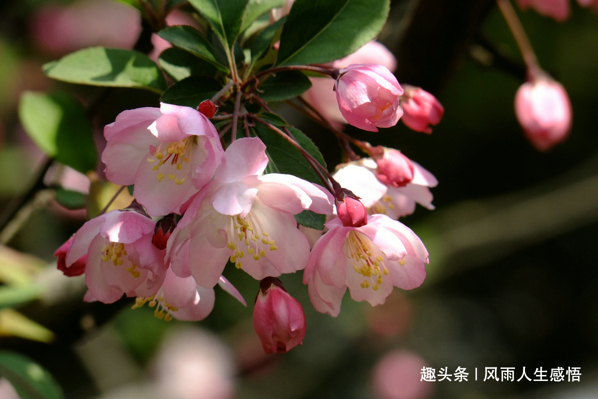 [风雨人生感悟]地球没有了你，照样转不停；但你不努力，面临的是随时被代替