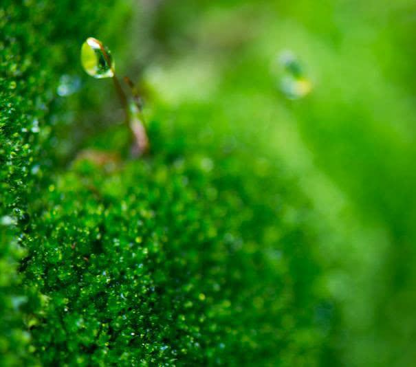【南山大叔】爷爷告诫我：发达时，身边突然冒出这三个人，衰运要来了，要小心
