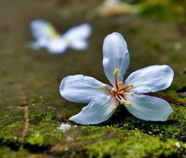 【南山大叔】爷爷告诫我：发达时，身边突然冒出这三个人，衰运要来了，要小心