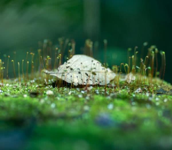 【南山大叔】爷爷告诫我：发达时，身边突然冒出这三个人，衰运要来了，要小心