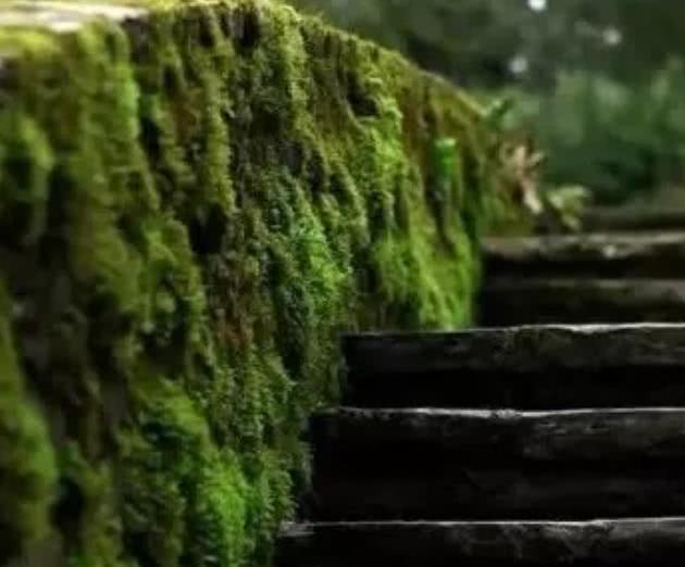 【南山大叔】爷爷告诫我：发达时，身边突然冒出这三个人，衰运要来了，要小心