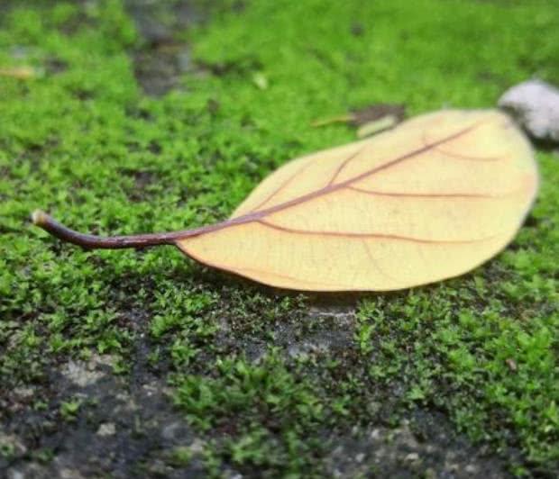 【南山大叔】爷爷告诫我：发达时，身边突然冒出这三个人，衰运要来了，要小心