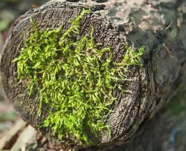 【南山大叔】爷爷告诫我：发达时，身边突然冒出这三个人，衰运要来了，要小心