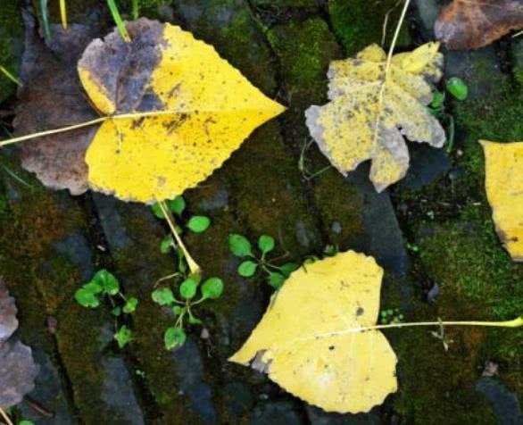 【南山大叔】爷爷告诫我：发达时，身边突然冒出这三个人，衰运要来了，要小心
